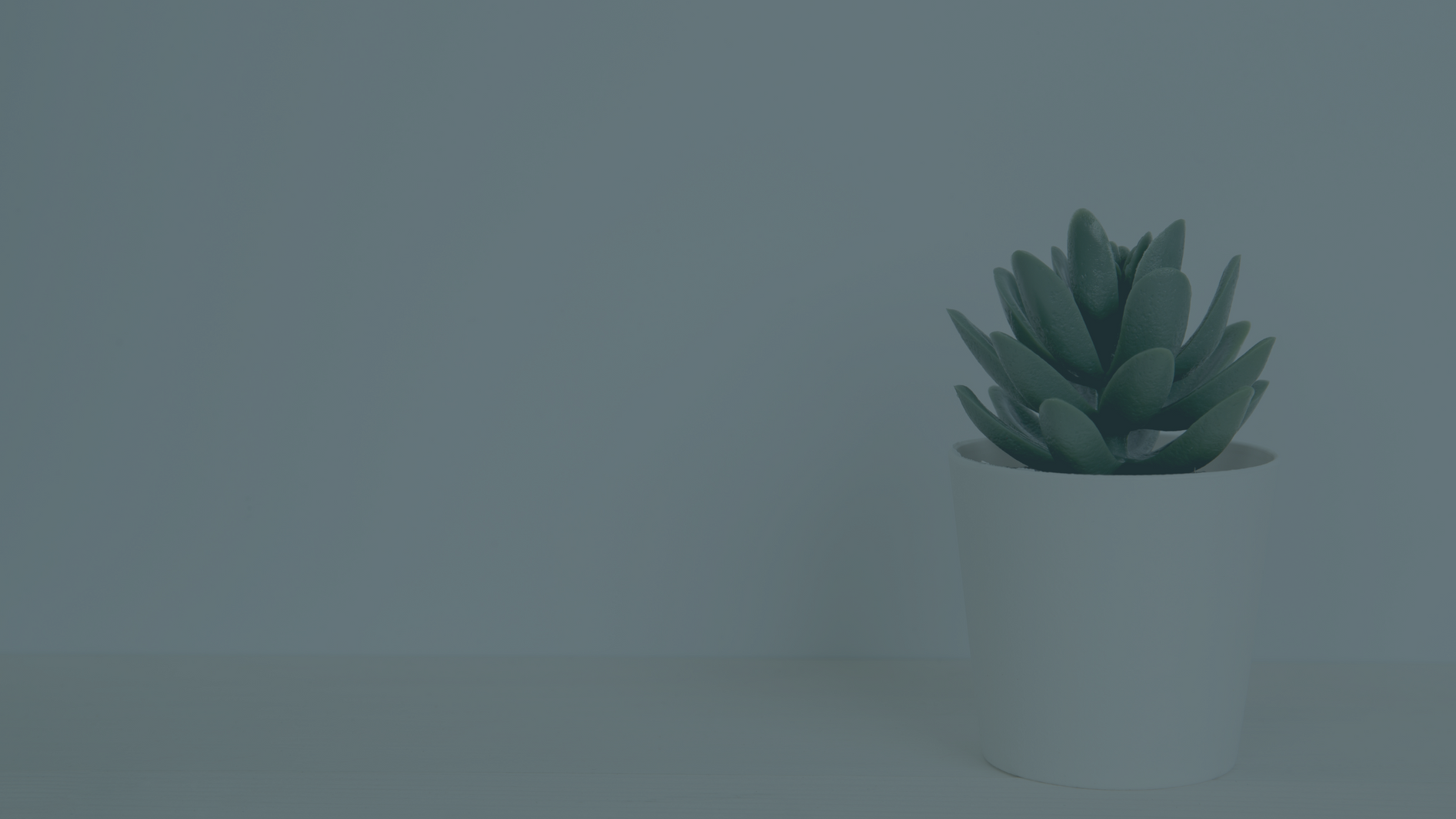 Je consigne, tu consignes, nous consignons…