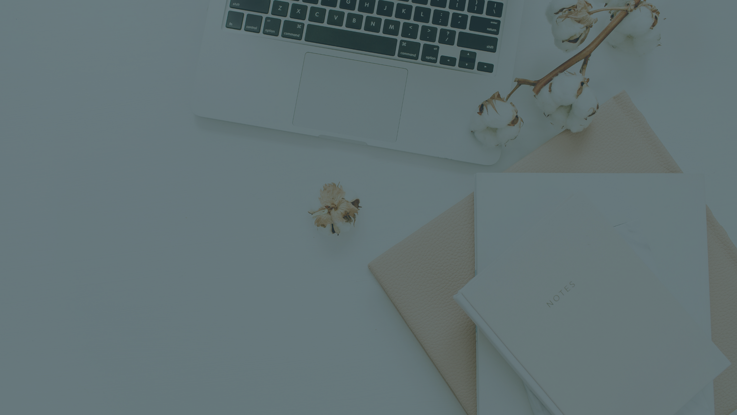 Les obligations légales de ton site web (Québec)