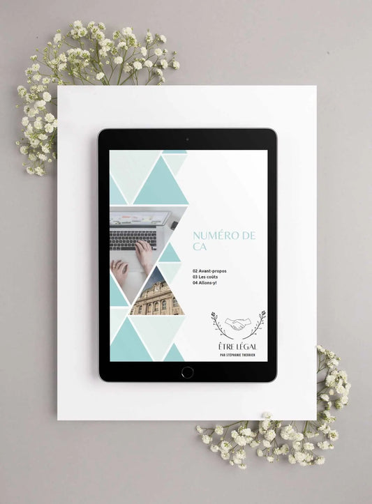 Comment obtenir un Numéro de CA La Vulgarisatrice